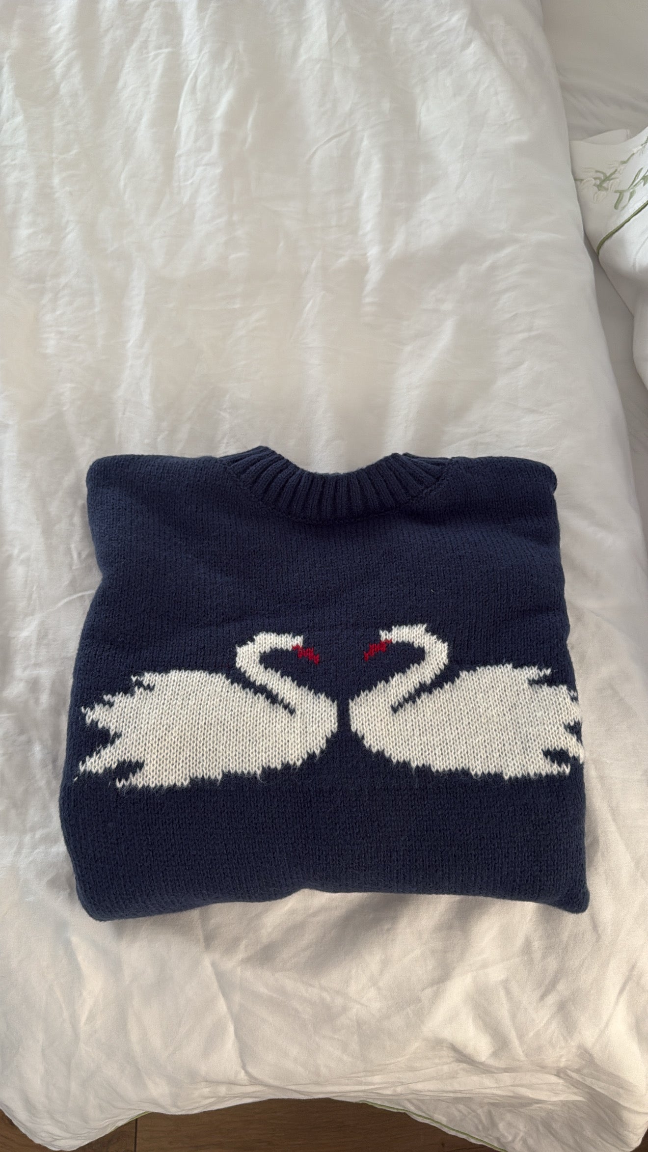 Swan lovers 🦢🤍💌