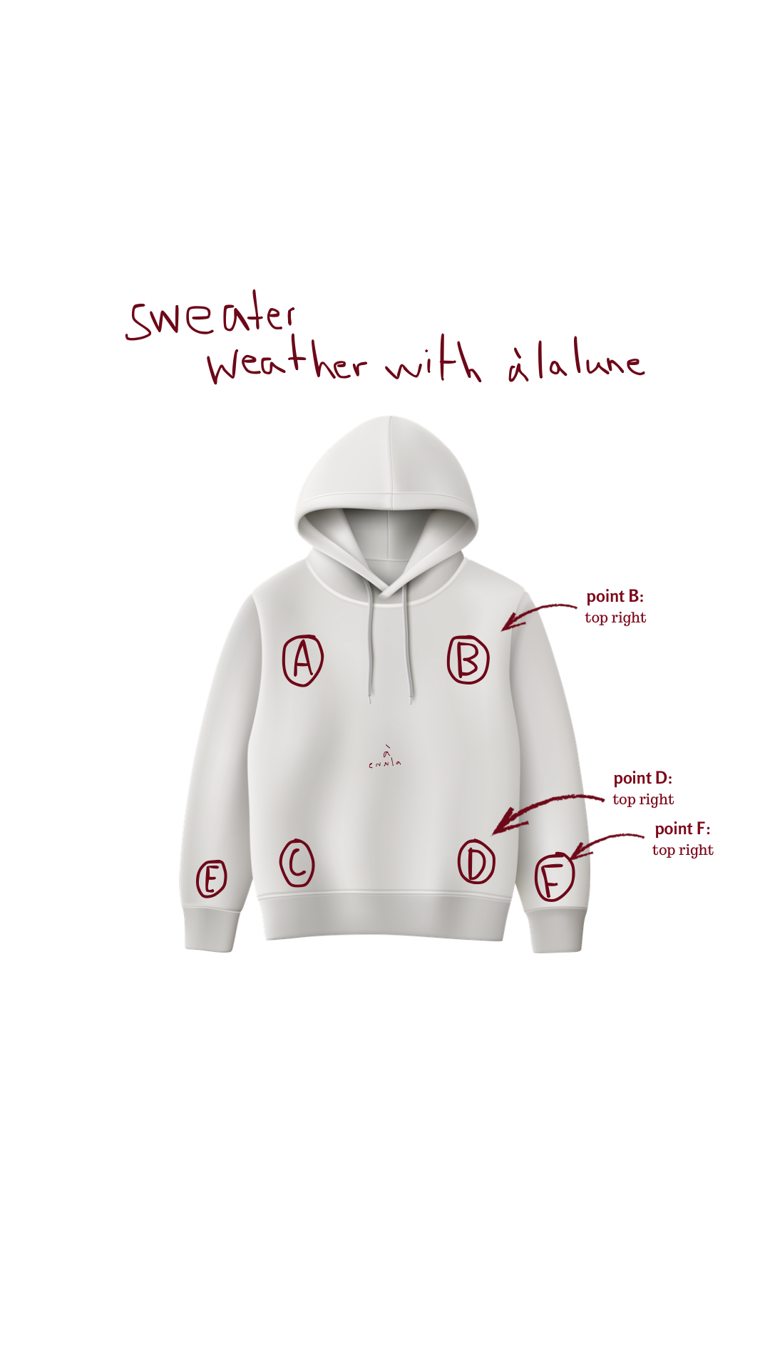 customized hoodie