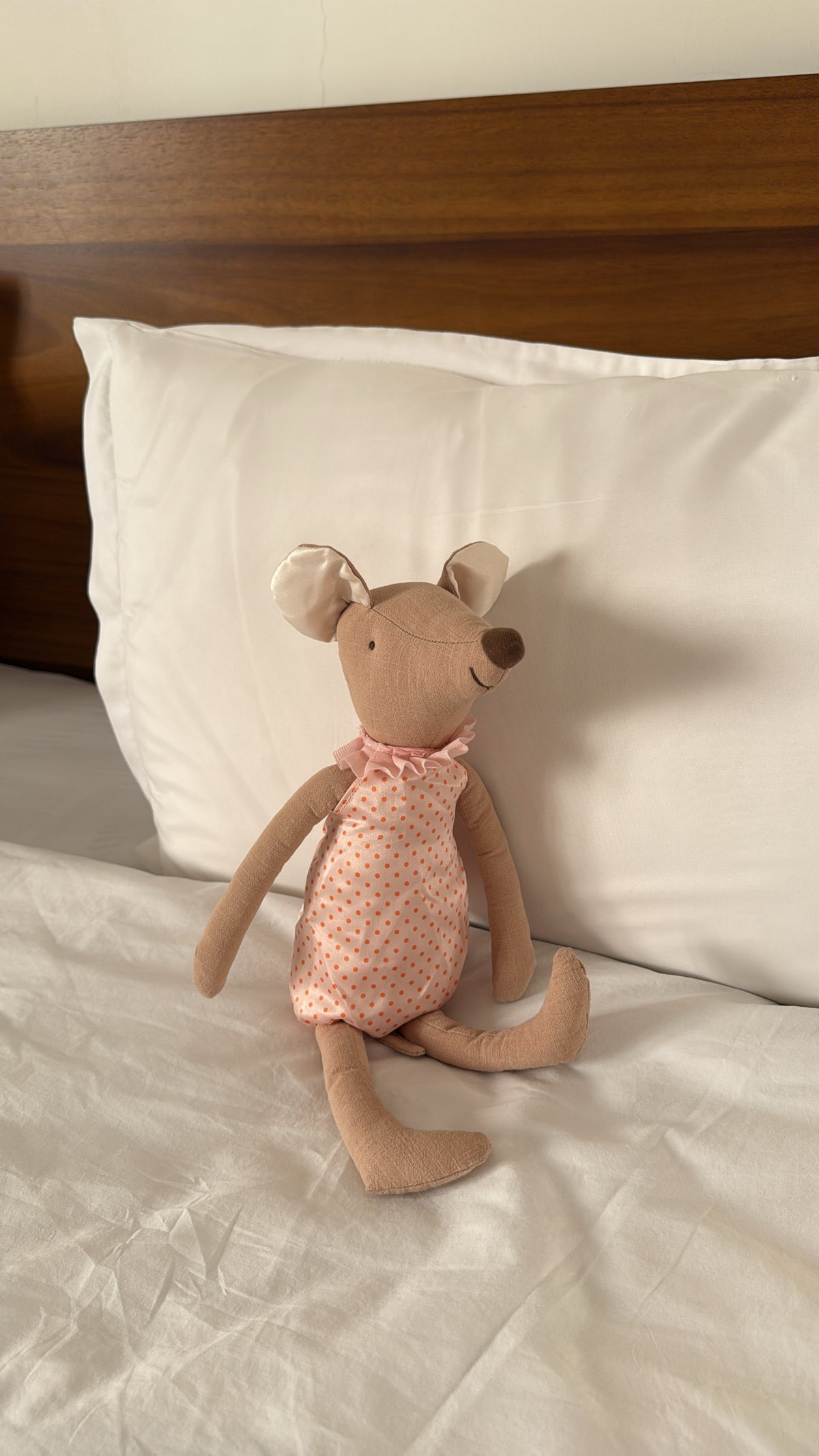 Pinkie Plushie 🐭💖