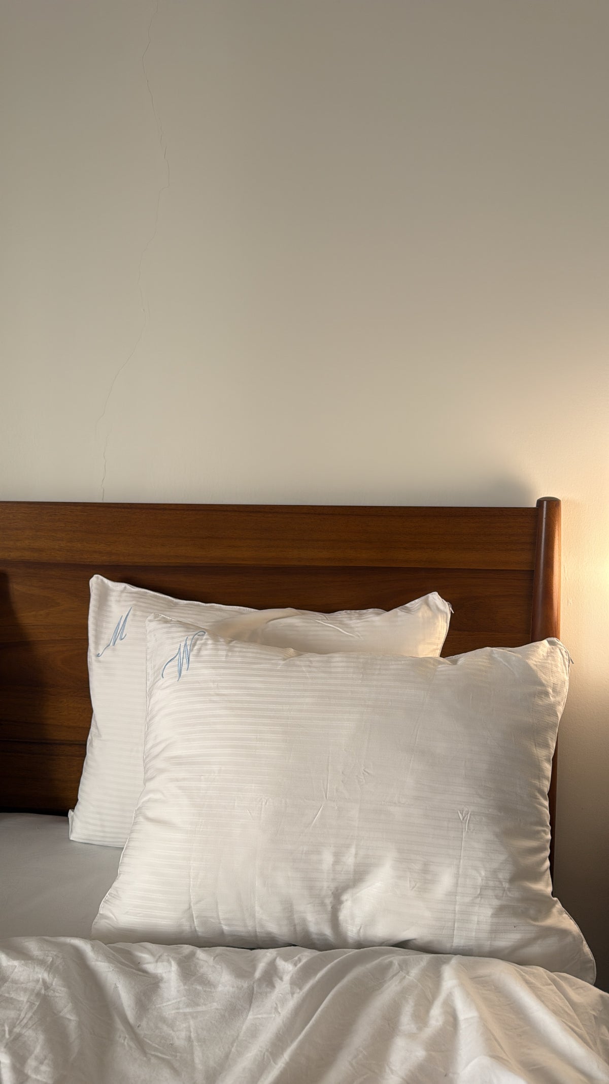 customized cotton pillow case (2 pieces)