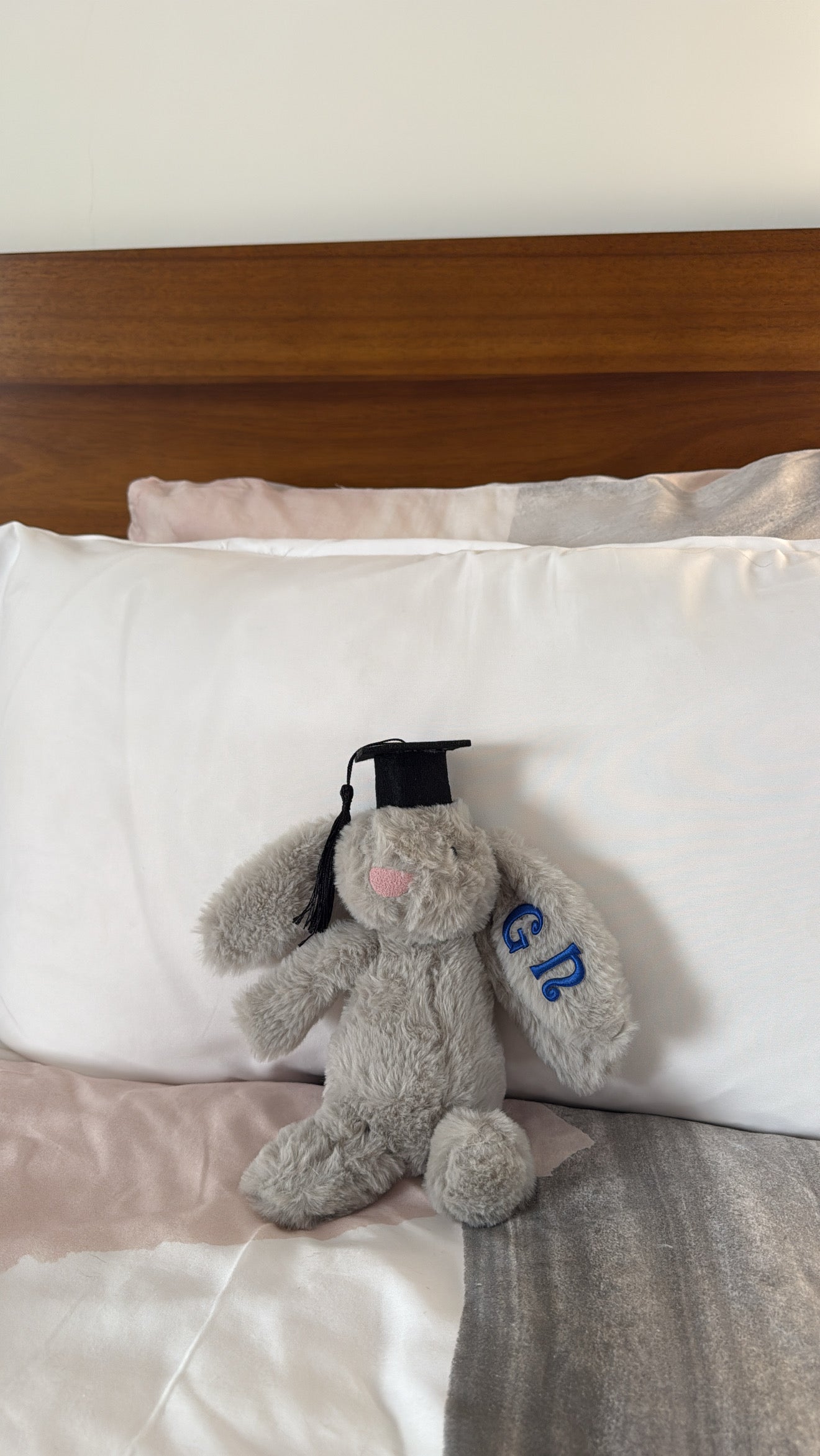 Senior ash plushie