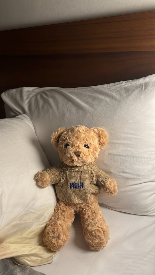 Mr Autumn Embroidered 🧸🤎 (pre order)