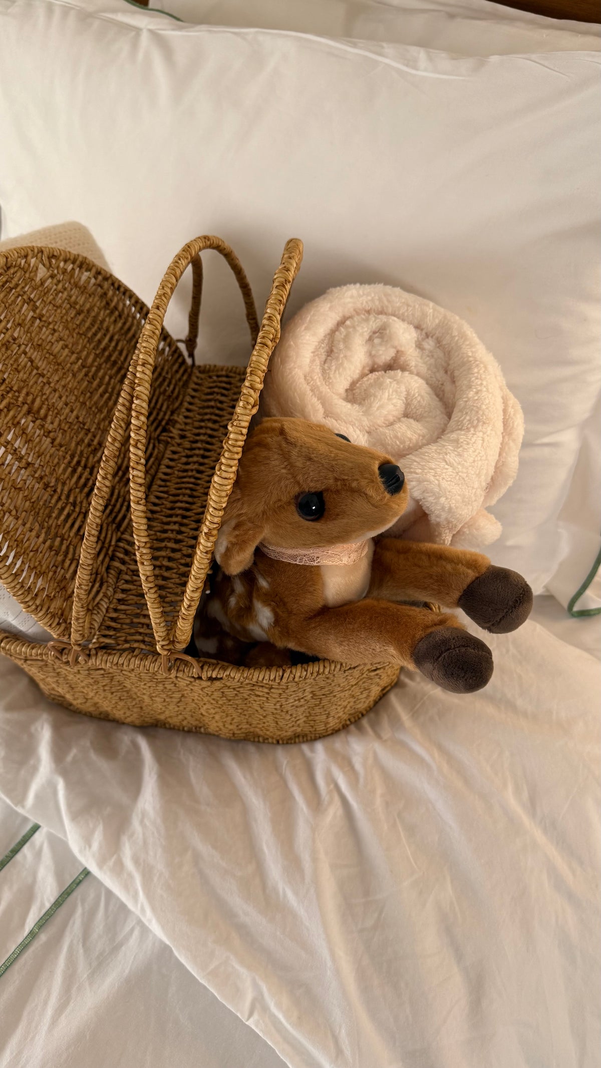 fawn basket 🦌˚ ༘ ೀ⋆｡🤎