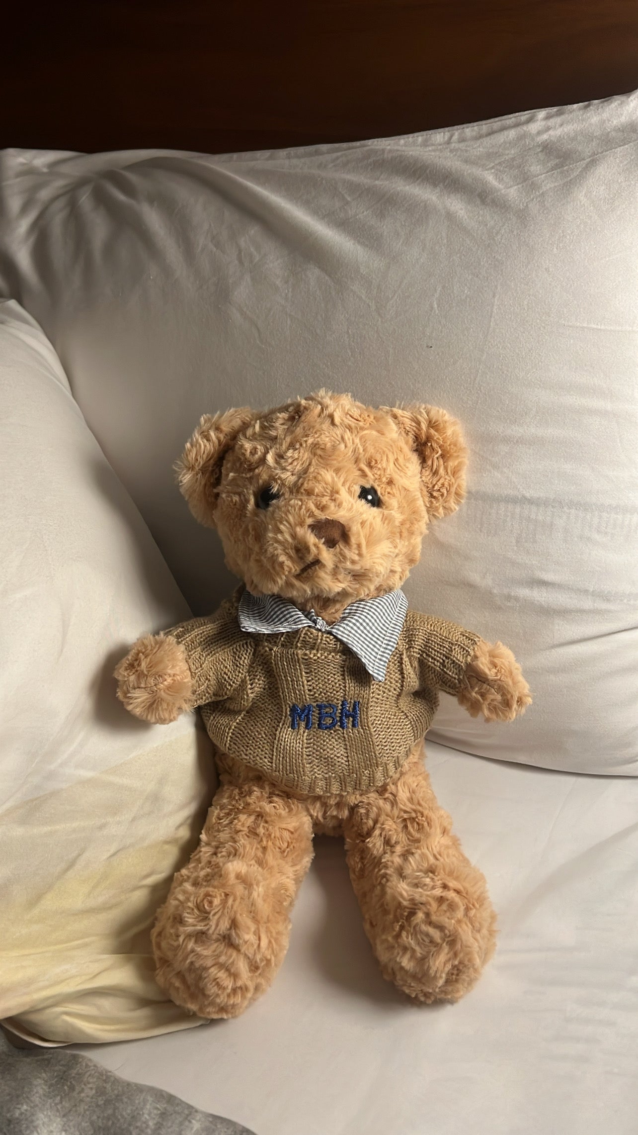 Mr Autumn Embroidered 🧸🤎 (pre order)