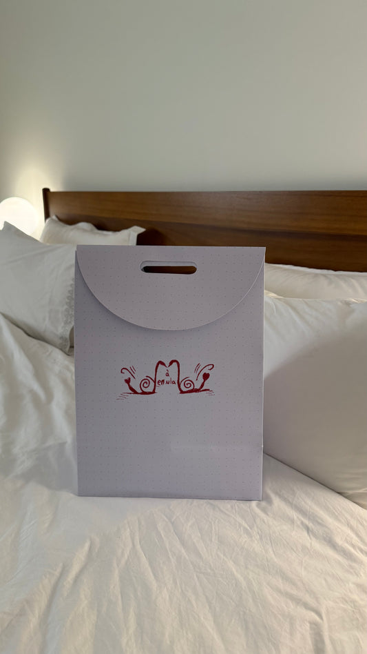 Gift wrapping bag (seasonal)