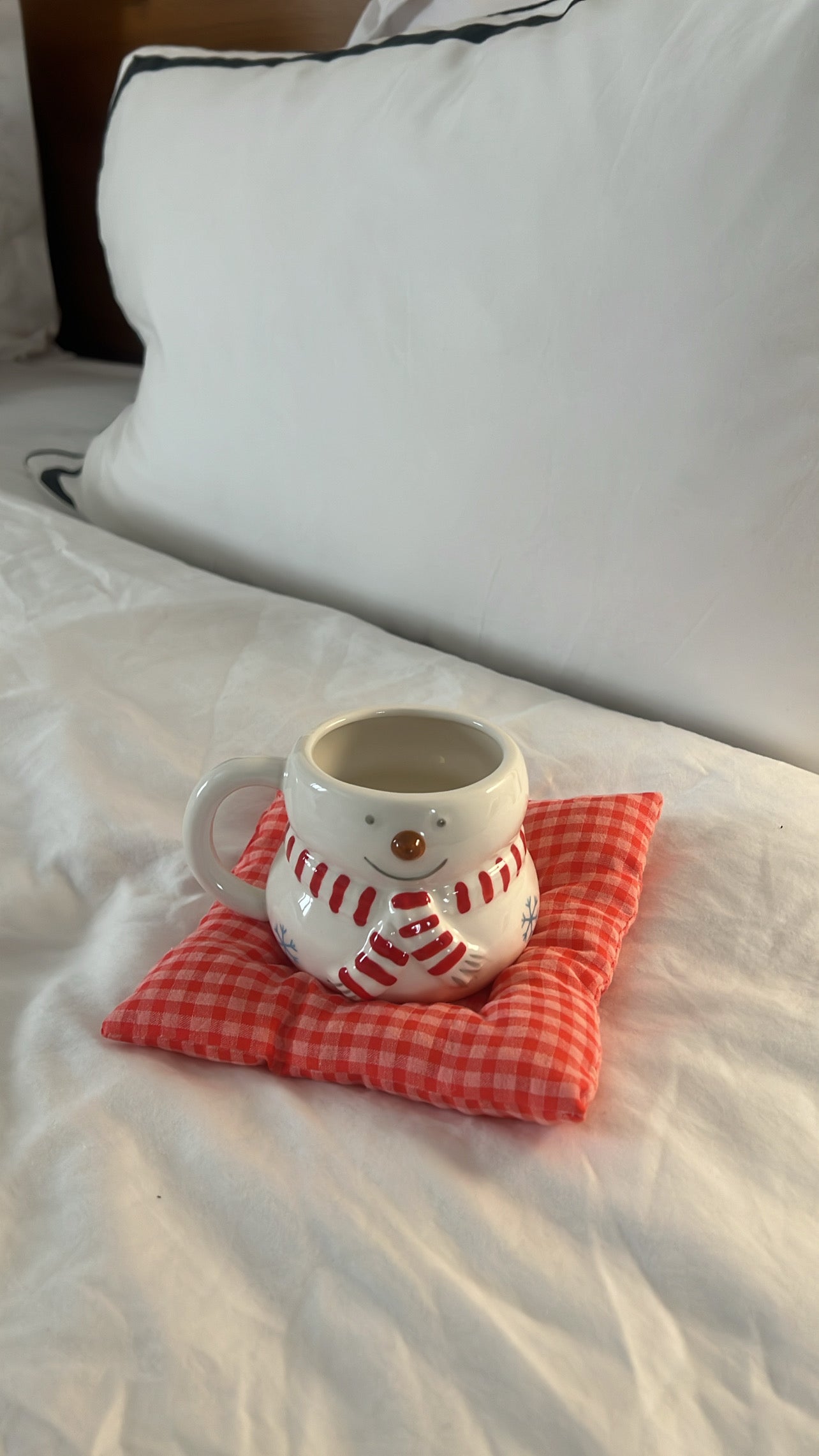 Mr Snowman Mug☃️⭐️